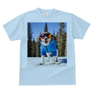 r[O TVc Y LbY t@  t  vg JWA 킢 lԗp h ̃fUC ʔ XL[ r[O ~  XL[EFA
