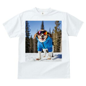 r[O TVc fB[X t@  t  vg JWA 킢 lԗp h ̃fUC ʔ XL[ r[O ~  XL[EFA