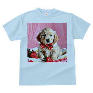 S[fgo[ TVc Y LbY t@  t  vg JWA 킢 lԗp h ̃fUC ʔ C`S S[fgo[ ԂlN^C 