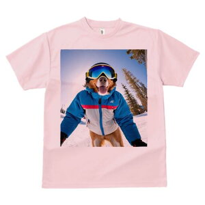 S[fg[o[ TVc Y LbY t@  t  vg JWA 킢 lԗp h ̃fUC ʔ XL[EFA S[fg[o[ XL