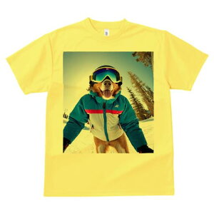 S[fg[o[ TVc Y LbY t@  t  vg JWA 킢 lԗp h ̃fUC ʔ XL[EFA S[fg[o[ XL