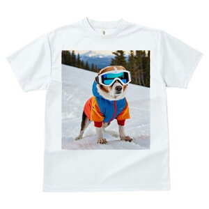 r[O TVc Y LbY t@  t  vg JWA 킢 lԗp h ̃fUC ʔ XL[ r[O XL[EFA R ~