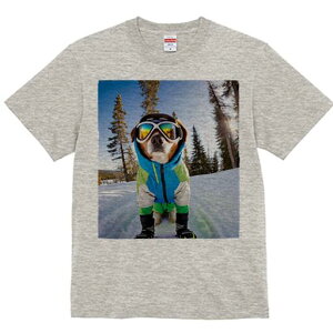 WbNbZeA TVc Y LbY t@  t  vg JWA 킢 lԗp h ̃fUC ʔ XL[EFA WbNbZeA XL