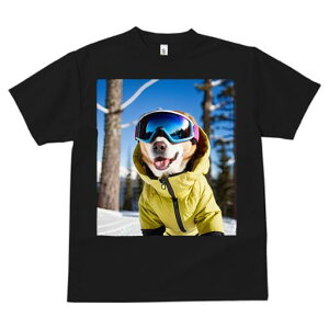 R[M[ TVc fB[X t@  t  vg JWA 킢 lԗp h ̃fUC ʔ XL[EFA R[M[ XL[S[O ~ 