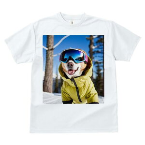 R[M[ TVc fB[X t@  t  vg JWA 킢 lԗp h ̃fUC ʔ XL[EFA R[M[ XL[S[O ~ 