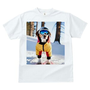 r[O TVc Y LbY t@  t  vg JWA 킢 lԗp h ̃fUC ʔ XL[ r[O ~  XL[EFA