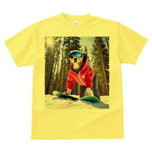 R[M[ TVc Y LbY t@  t  vg JWA 킢 lԗp h ̃fUC ʔ Xm[{[h R[M[  ~ XL[EFA