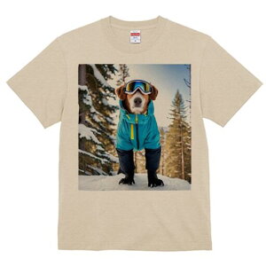 WbNbZeA TVc Y LbY t@  t  vg JWA 킢 lԗp h ̃fUC ʔ XL[EFA WbNbZeA XL