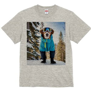 WbNbZeA TVc Y LbY t@  t  vg JWA 킢 lԗp h ̃fUC ʔ XL[EFA WbNbZeA XL