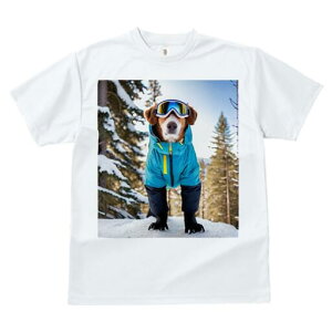 WbNbZeA TVc fB[X t@  t  vg JWA 킢 lԗp h ̃fUC ʔ XL[EFA WbNbZeA XL[