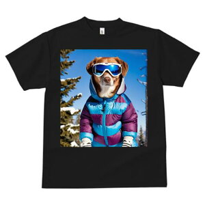 S[fgo[ TVc fB[X t@  t  vg JWA 킢 lԗp h ̃fUC ʔ XL[EFA S[fgo[ XL[S[