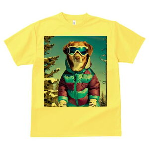 S[fgo[ TVc Y LbY t@  t  vg JWA 킢 lԗp h ̃fUC ʔ XL[EFA S[fgo[ XL[S