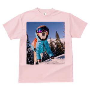 Č TVc Y LbY t@  t  vg JWA 킢 lԗp h ̃fUC ʔ XL[ Č ~  XL[EFA