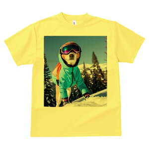 Č TVc Y LbY t@  t  vg JWA 킢 lԗp h ̃fUC ʔ XL[ Č ~  XL[EFA