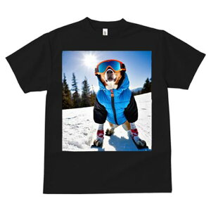 r[O TVc Y LbY t@  t  vg JWA 킢 lԗp h ̃fUC ʔ XL[ r[O ~  XL[EFA