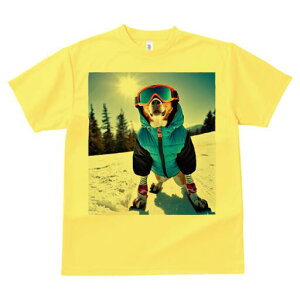r[O TVc Y LbY t@  t  vg JWA 킢 lԗp h ̃fUC ʔ XL[ r[O ~  XL[EFA
