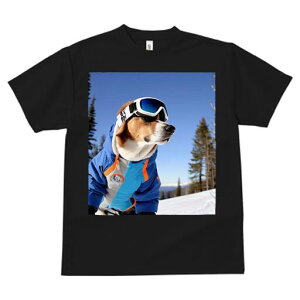 r[O TVc fB[X t@  t  vg JWA 킢 lԗp h ̃fUC ʔ XL[ r[O XL[EFA S[O R