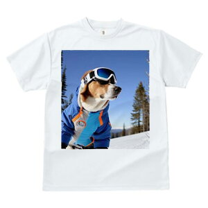 r[O TVc fB[X t@  t  vg JWA 킢 lԗp h ̃fUC ʔ XL[ r[O XL[EFA S[O R
