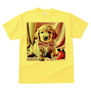 S[fgo[ TVc Y LbY t@  t  vg JWA 킢 lԗp h ̃fUC ʔ lN^C S[fgo[  `F