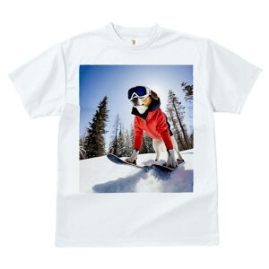 r[O TVc fB[X t@  t  vg JWA 킢 lԗp h ̃fUC ʔ Xm[{[h r[O ~ R XL[EFA