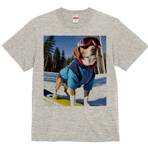 r[O TVc Y LbY t@  t  vg JWA 킢 lԗp h ̃fUC ʔ XL[EFA r[O Xm[{[h XL[S[O R