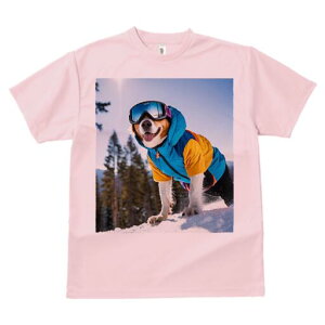 R[M[ TVc Y LbY t@  t  vg JWA 킢 lԗp h ̃fUC ʔ XL[ R[M[ ~  XL[EFA