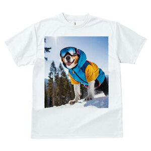 R[M[ TVc fB[X t@  t  vg JWA 킢 lԗp h ̃fUC ʔ XL[ R[M[ ~  XL[EFA