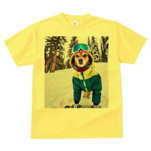 ̑ TVc Y LbY t@  t  vg JWA 킢 lԗp h ̃fUC ʔ XL[EFA ̑ XL[S[O R ~