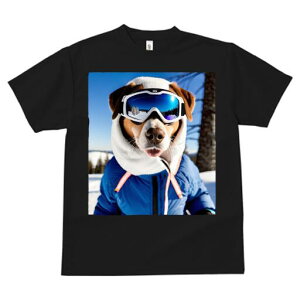 {[_[R[ TVc fB[X t@  t  vg JWA 킢 lԗp h ̃fUC ʔ XL[ {[_[R[ ~  XL[EFA