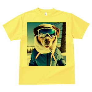 {[_[R[ TVc Y LbY t@  t  vg JWA 킢 lԗp h ̃fUC ʔ XL[ {[_[R[ ~  XL[EFA