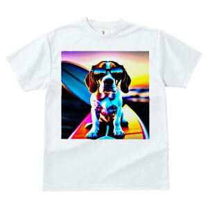 r[O TVc fB[X t@  t  vg JWA 킢 lԗp h ̃fUC ʔ TOX r[O T[t{[h C [Ă