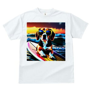 r[O TVc fB[X t@  t  vg JWA 킢 lԗp h ̃fUC ʔ TOX r[O T[t{[h C [Ă