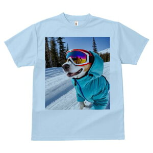 r[O TVc Y LbY t@  t  vg JWA 킢 lԗp h ̃fUC ʔ XL[ r[O ~  XL[EFA