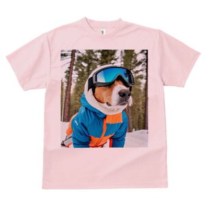 r[O TVc Y LbY t@  t  vg JWA 킢 lԗp h ̃fUC ʔ XL[EFA r[O XL[S[O R ~