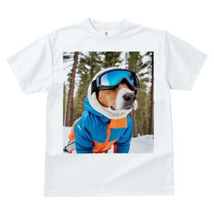 r[O TVc fB[X t@  t  vg JWA 킢 lԗp h ̃fUC ʔ XL[EFA r[O XL[S[O R ~