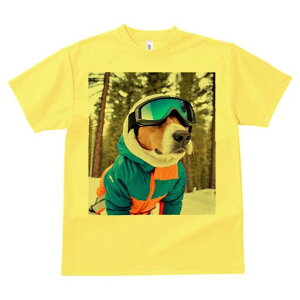 r[O TVc Y LbY t@  t  vg JWA 킢 lԗp h ̃fUC ʔ XL[EFA r[O XL[S[O R ~