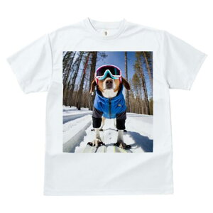 r[O TVc fB[X t@  t  vg JWA 킢 lԗp h ̃fUC ʔ XL[ r[O XL[EFA ~ 