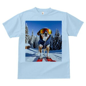 r[O TVc Y LbY t@  t  vg JWA 킢 lԗp h ̃fUC ʔ XL[ r[O XL[EFA S[O ~