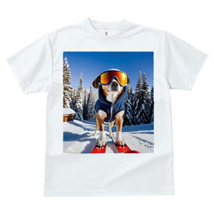 r[O TVc fB[X t@  t  vg JWA 킢 lԗp h ̃fUC ʔ XL[ r[O XL[EFA S[O ~