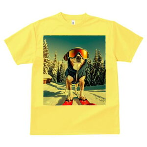 r[O TVc Y LbY t@  t  vg JWA 킢 lԗp h ̃fUC ʔ XL[ r[O XL[EFA S[O ~