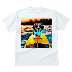 r[O TVc fB[X t@  t  vg JWA 킢 lԗp h ̃fUC ʔ T[tB r[O C TOX