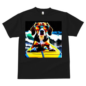 r[O TVc fB[X t@  t  vg JWA 킢 lԗp h ̃fUC ʔ T[tB r[O C TOX