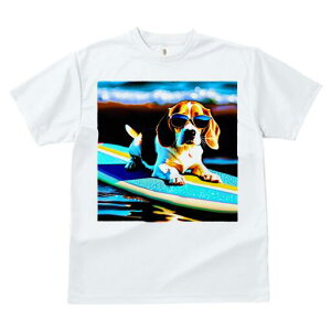 r[O TVc fB[X t@  t  vg JWA 킢 lԗp h ̃fUC ʔ TOX r[O T[t{[h C