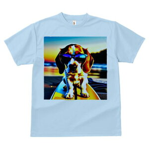 r[O TVc Y LbY t@  t  vg JWA 킢 lԗp h ̃fUC ʔ TOX r[O T[t{[h C