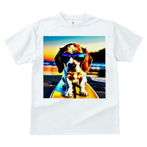 r[O TVc fB[X t@  t  vg JWA 킢 lԗp h ̃fUC ʔ TOX r[O T[t{[h C