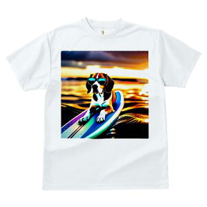 r[O TVc fB[X t@  t  vg JWA 킢 lԗp h ̃fUC ʔ TOX r[O T[t{[h C [Ă