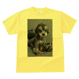 トイプードル Tシャツ メンズ キッズ 犬ファン 半袖 春夏 犬柄 プリント カジュアル かわいい 人間用 個性派 ここだけのデザイン 面白 ぬいぐるみ トイプードル