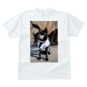 Č TVc fB[X t@  t  vg JWA 킢 lԗp h ̃fUC ʔ TOX Č 