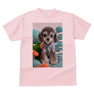 gCv[h TVc Y LbY t@  t  vg JWA 킢 lԗp h ̃fUC ʔ ʂ gCv[h