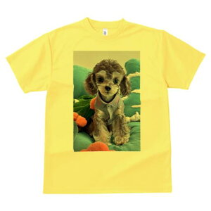 gCv[h TVc Y LbY t@  t  vg JWA 킢 lԗp h ̃fUC ʔ ʂ gCv[h